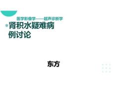肾积水超声诊断分析
