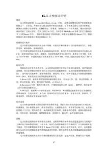 先天性胆道闭锁诊疗指南（2025年版）