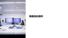 梅毒培训课件