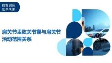 肩关节盂肱关节囊与肩关节活动范围关系-洞察及研究