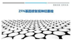 ZFN基因修复视神经萎缩最佳分析