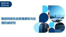 胸部钝挫伤后疼痛感知与处理机制研究-洞察及研究