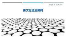 跨文化适应障碍最佳分析