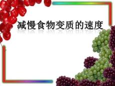 四年級科學下冊減慢食物變質的速度優(yōu)秀課件
