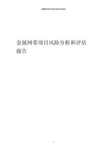金屬網(wǎng)帶項(xiàng)目風(fēng)險(xiǎn)分析和評(píng)估報(bào)告