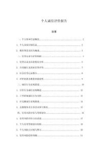 個人誠信評價報告