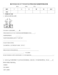 重慶市忠縣2025年下半年初中化學期末測驗內部題庫附精品答案