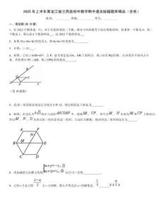 2025年上半年黑龍江省蘭西縣初中數(shù)學(xué)期中通關(guān)秘籍題庫(kù)精品（全優(yōu)）