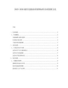2025-2030最佳實(shí)踐商業(yè)案例標(biāo)桿企業(yè)創(chuàng)新方法