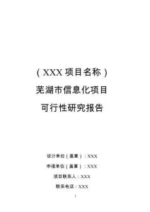 蕪湖市信息化項目可行性研究報告編制模板