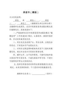 承诺书(模板)范本