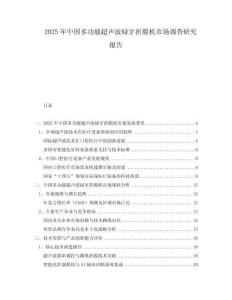 2025年中国多功能超声波碌牙折膜机市场调查研究报告
