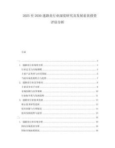 2025至2030迷路炎行业深度研究及发展前景投资评估分析