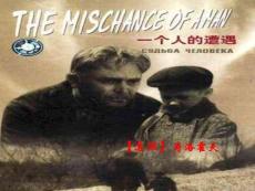 《一个人的遭遇》教案(共38张PPT)