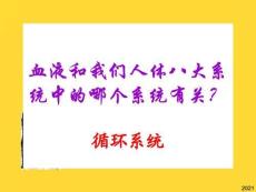 人體八大系統(tǒng)——循環(huán)系統(tǒng)(與“心臟”相關(guān)共48張)