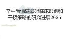 卒中后情感障礙臨床識別和干預(yù)策略的研究進展2025