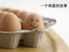 培訓課件雞蛋的管理哲學