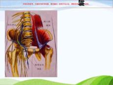 閉孔神經(jīng)阻滯課件