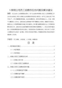 S照明公司員工招聘存在的問題及解決建議10000字【論文】