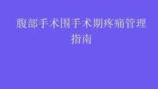腹部手术围手术期疼痛管理指南2025