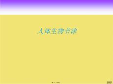 人体生物节律(共20张PPT)