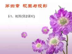 視圖與投影完美版資料