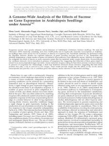 A Genome-Wide Analysis of the Effects of Sucrose