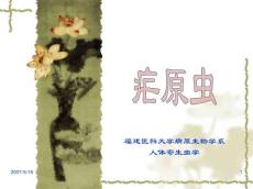 医学课件疟原虫