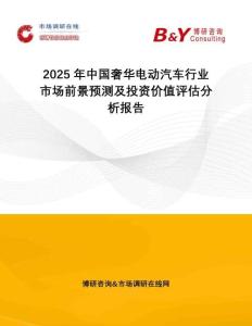 2025年中國奢華電動(dòng)汽車行業(yè)市場(chǎng)前景預(yù)測(cè)及投資價(jià)值評(píng)估分析報(bào)告