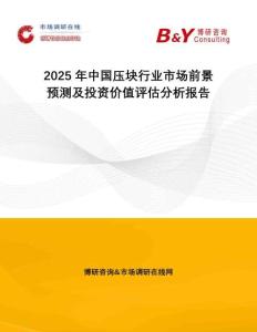 2025年中國壓塊行業(yè)市場前景預測及投資價值評估分析報告