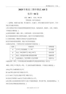 高三化學(xué)人教版（2019）期中測(cè)試B卷——A4版式