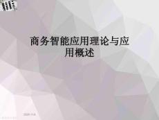 商務(wù)智能應(yīng)用理論與應(yīng)用概述