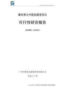 肇慶某大中醫院建設項目可行性報告范本