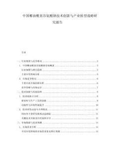 中國椰油?；劝彼徕c技術(shù)創(chuàng)新與產(chǎn)業(yè)轉(zhuǎn)型戰(zhàn)略研究報告
