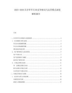 2025-2030共享單車行業(yè)競爭格局與運營模式深度解析報告