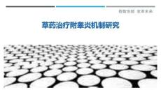 草药治疗附睾炎机制研究
