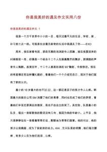 你是我美好的遇见作文实用八份