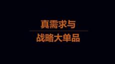 真需求與戰略大單品