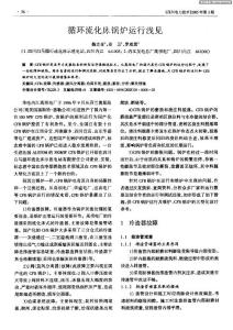 循環流化床鍋爐運行淺見