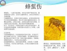 戶外急救知識必備