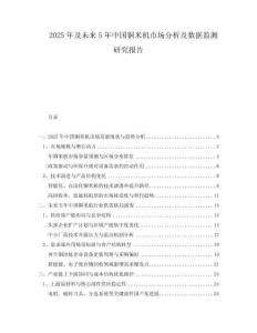 2025年及未來5年中國銅米機市場分析及數據監測研究報告