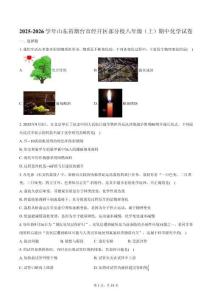 山東省煙臺市經開區(qū)部分校2025-2026學年八年級（上）期中化學試卷（含答案）
