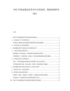 2025年線束捆扎膠帶項目市場調(diào)查、數(shù)據(jù)監(jiān)測研究報告