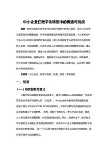 中小企業(yè)在數(shù)字化轉(zhuǎn)型中的機(jī)遇與挑戰(zhàn)