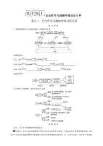微專題1　光合作用與細(xì)胞呼吸綜合分析