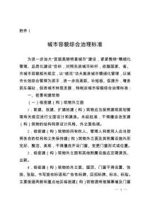城市容貌综合治理标准