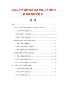 2025年中国恒加荷自动水泥压力试验机数据监测研究报告