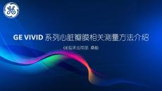 GE VIVID心臟瓣膜相關測量方法介紹