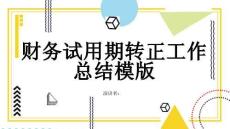 財務試用期轉正工作總結模版