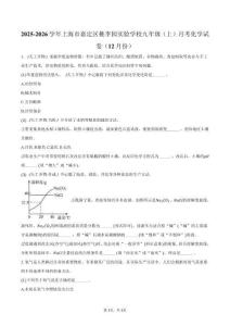 2025-2026學年上海市嘉定區桃李園實驗學校九年級（上）月考化學試卷（12月份）（含答案）
